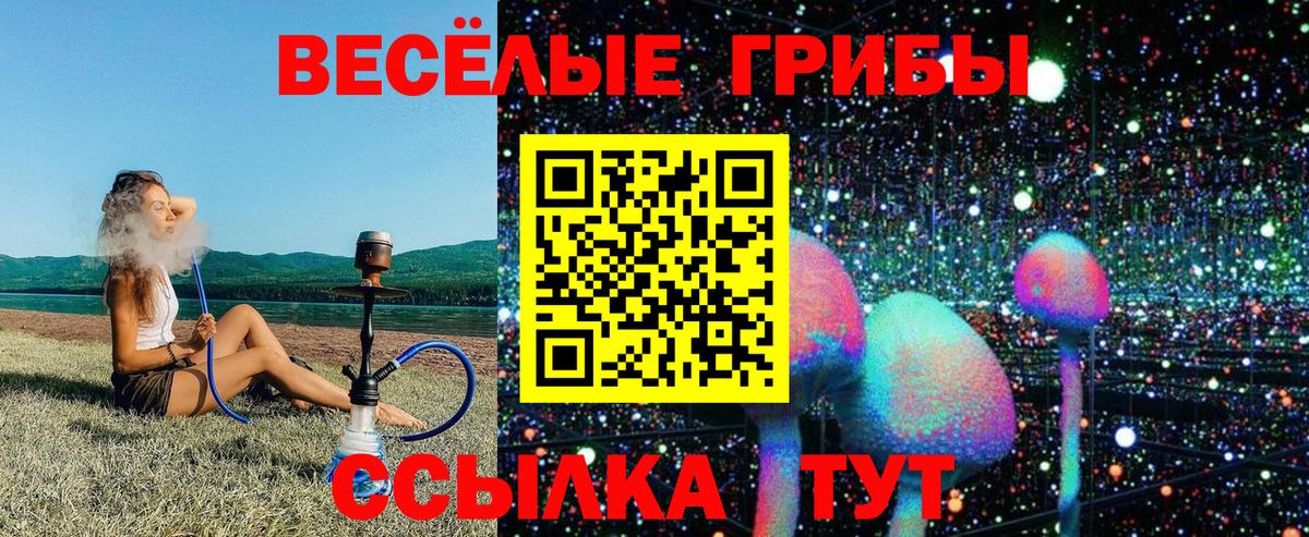 Сургут  Галлюциногенные грибы прущие грибы  Вход с VPN 