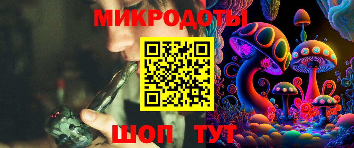 Псилоцибиновые грибы Cubensis Сургут
